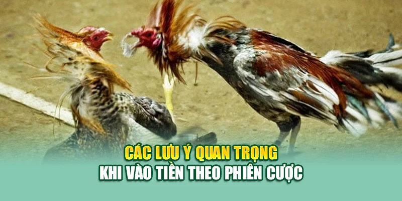 Các lưu ý quan trọng khi vào tiền theo phiên cược