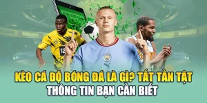 Kèo Cá Độ Bóng Đá Là Gì? Tất Tần Tật Thông Tin Bạn Cần Biết 